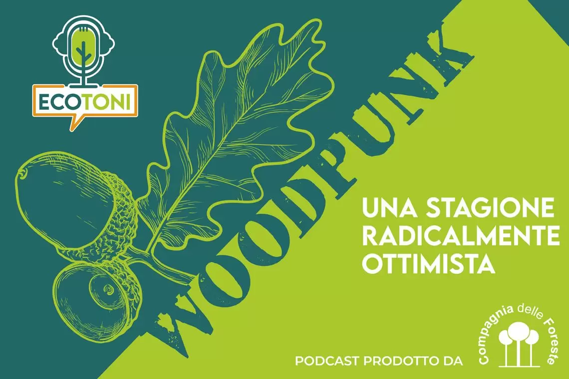 Ecotoni WoodPunk